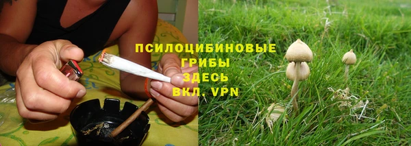 mix Абаза