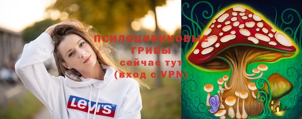 mix Абаза