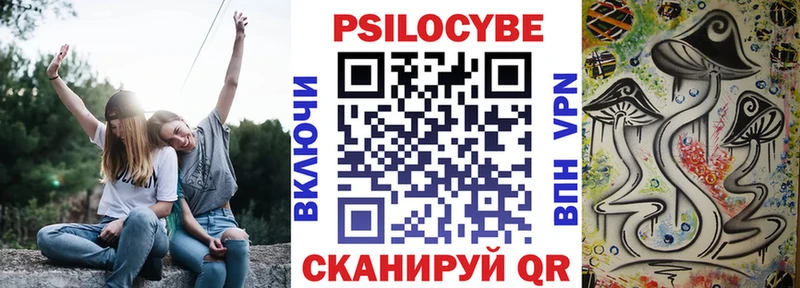 закладки  Липецк  Псилоцибиновые грибы Psilocybine cubensis 